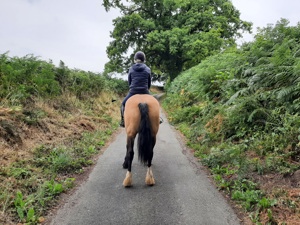 Hacking and Hillwork